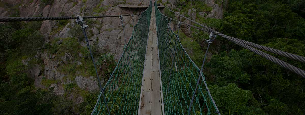 About Cape Canopy Tours